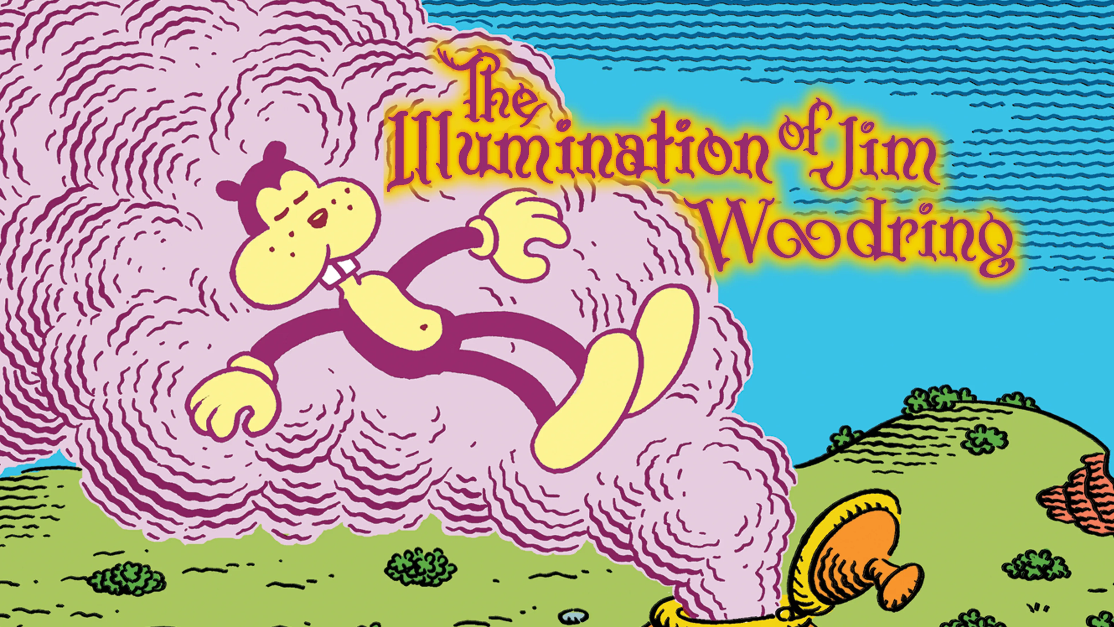 The Illumination of Jim Woodring poster